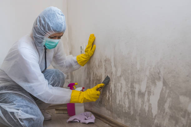 Biohazard Mold Removal in Taft, FL